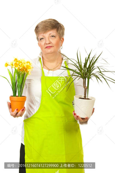 成熟的女人花