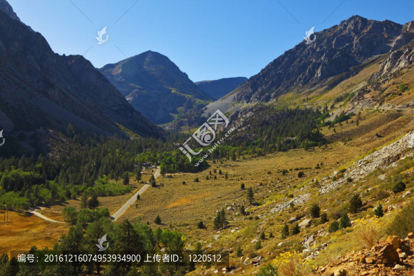 山上風景如畫的山谷