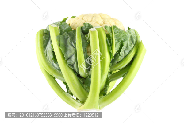 白色背景上的花椰菜切邊