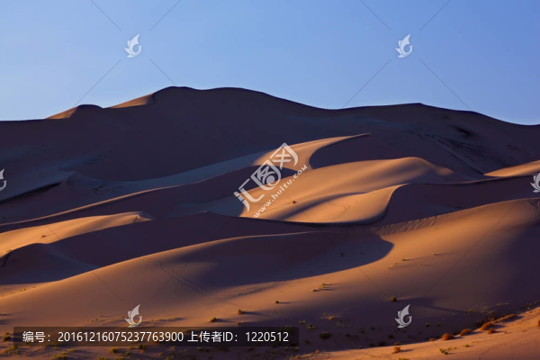 橙色的黎明