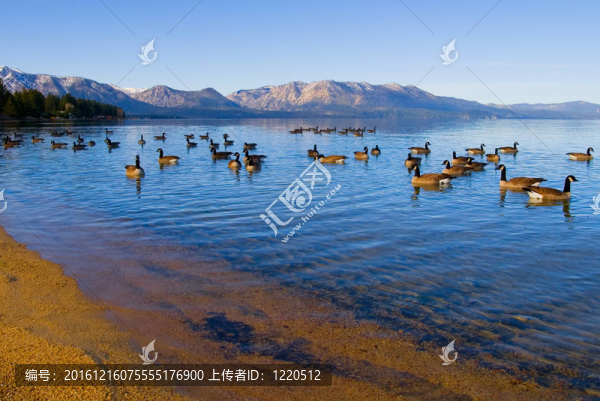 太浩湖
