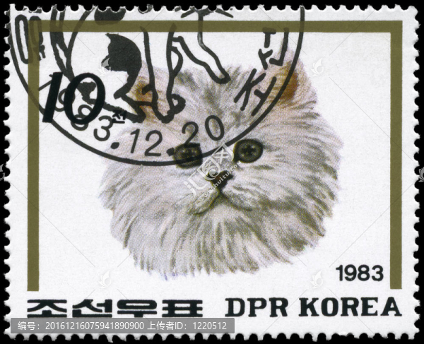 朝鮮大約1983的貓（橄欖綠）