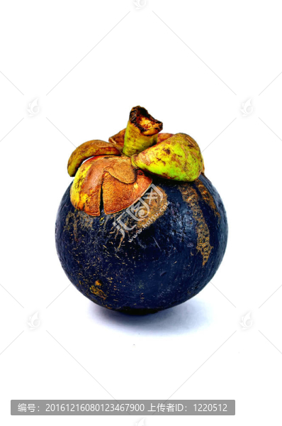 山竹