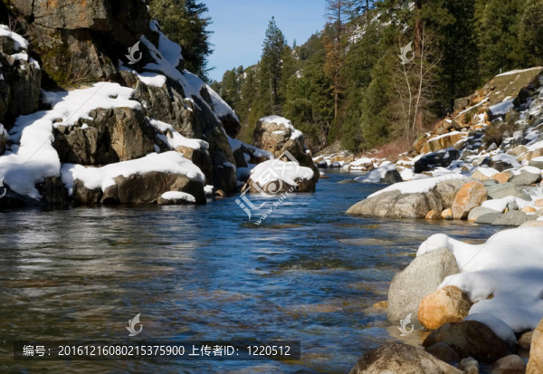 樹林中清澈的河流