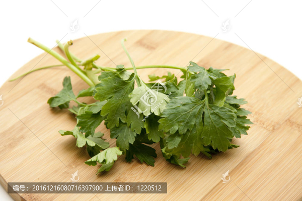 新鮮歐芹