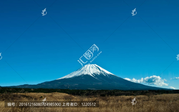 查看富士山在日本