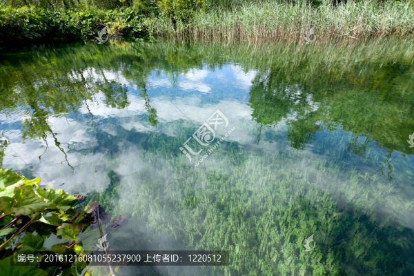 水中的倒影