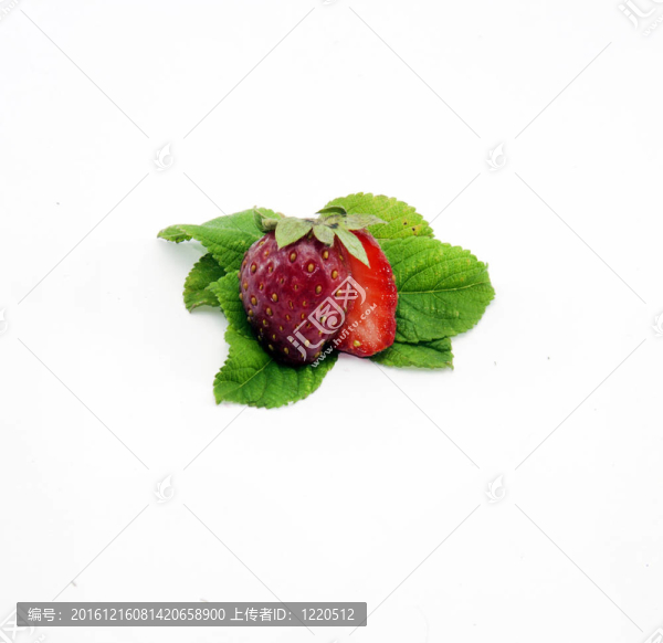 草莓果實