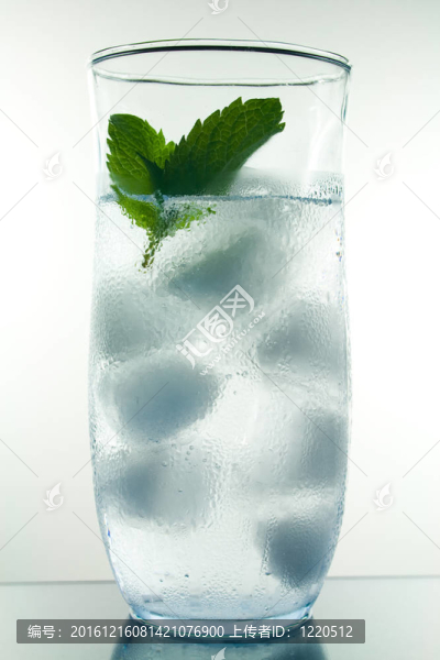 薄荷枝杯冰水