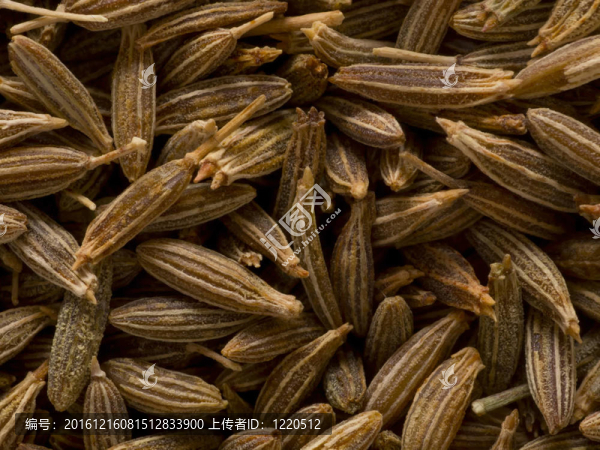 關(guān)閉了孜然食品背景