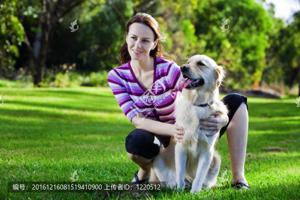 在草地上的年輕女人和金毛獵犬