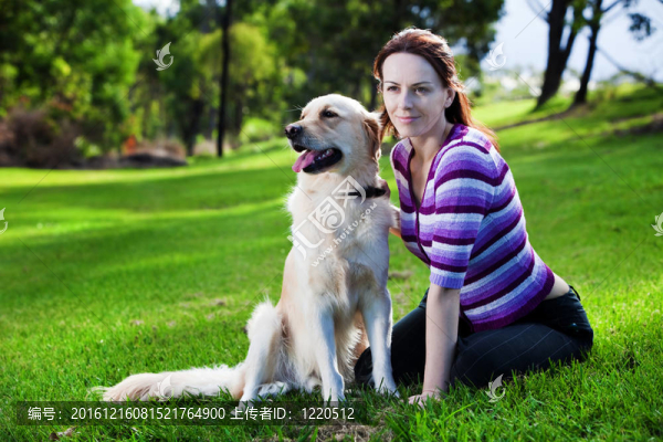 在草地上的年輕女人和金毛獵犬