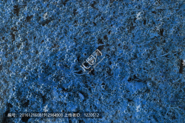 藍(lán)色泡泡照片背景
