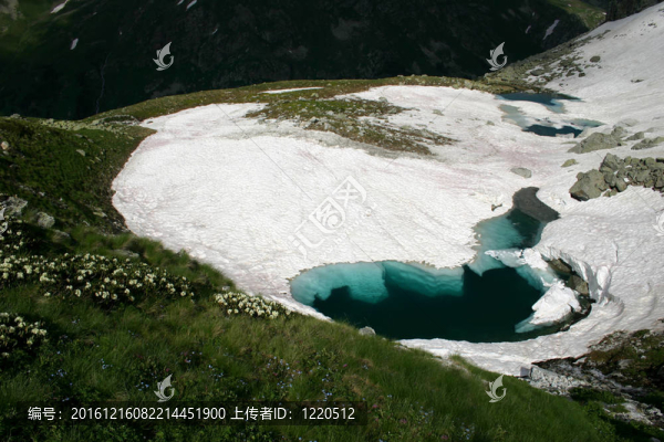 高山-高山緯度