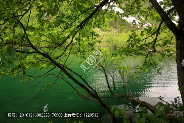 高山-高山緯度
