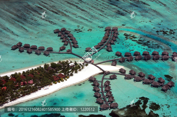 馬爾代夫航空