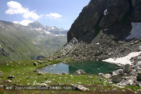高山-高山緯度