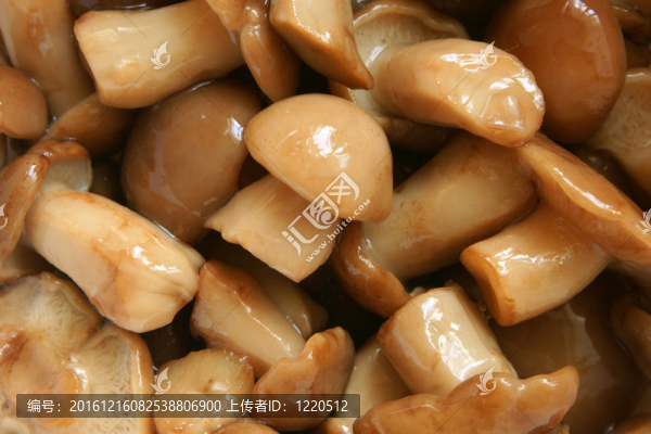 蘑菇鹵