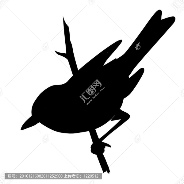 白色背景上的鳥剪影