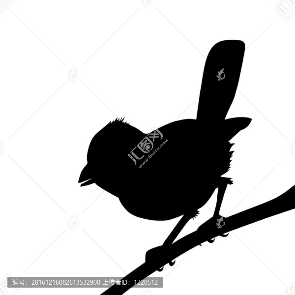 白色背景上的鳥剪影