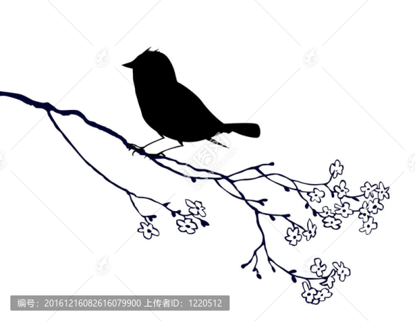 白色背景上的鳥剪影