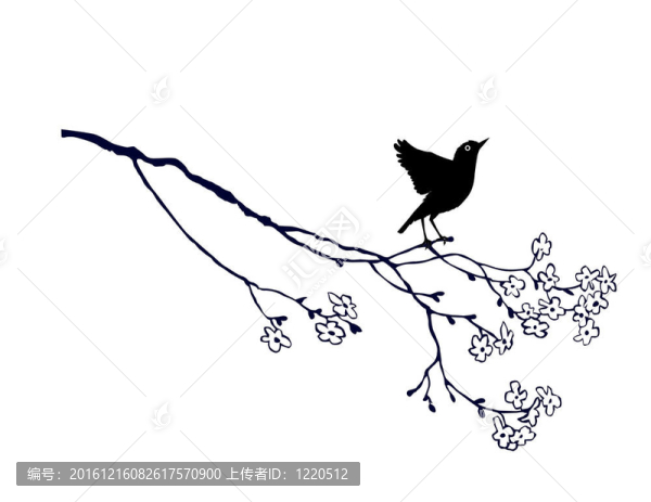 白色背景上樹枝上的鳥