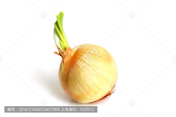 洋蔥