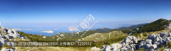 全景韋萊比特