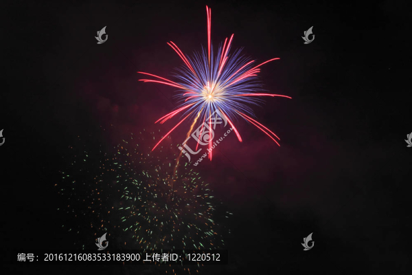 夜空中的煙花