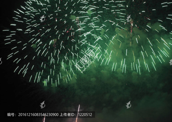 夜空中的煙花