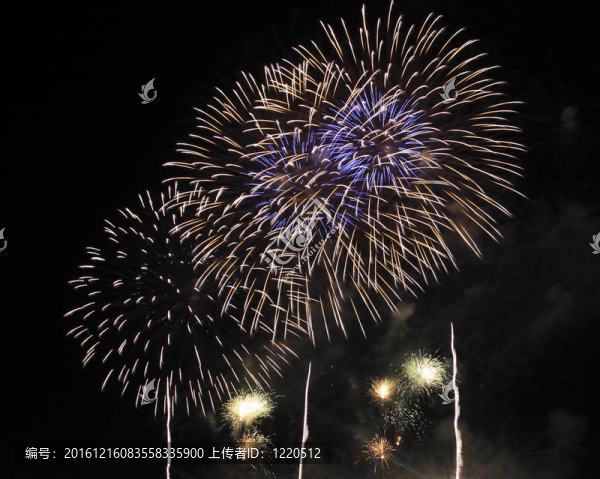 夜空中的煙花