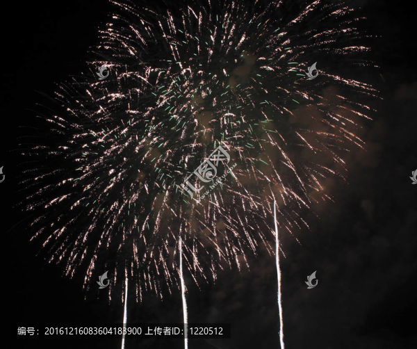 夜空中的煙花