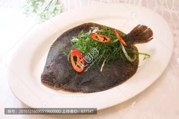 多寶魚