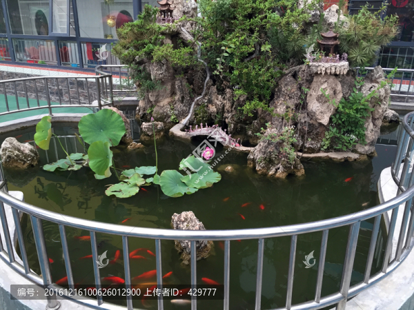水池,,魚塘