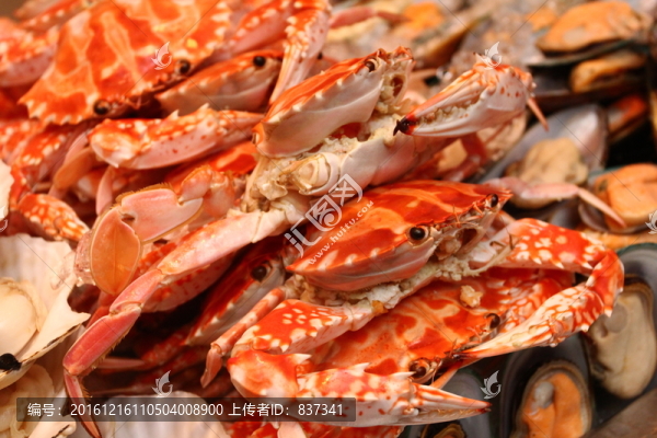 海蟹