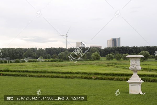 大面積綠色草坪