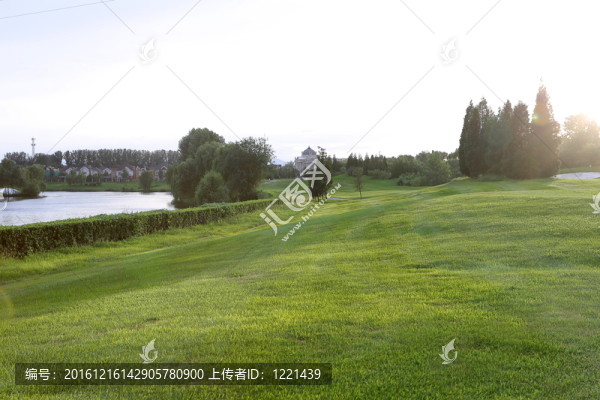 大面積綠地和大面積草坪