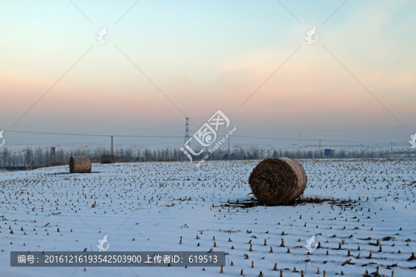 雪后田野,大草捆