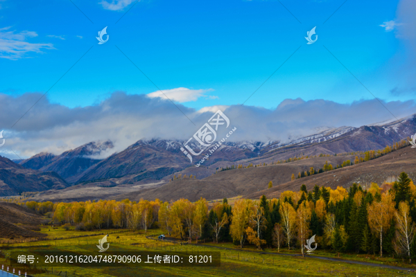 西北第一村白哈巴