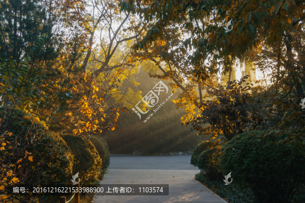 泉城公園
