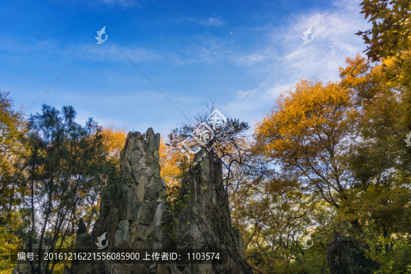 公園