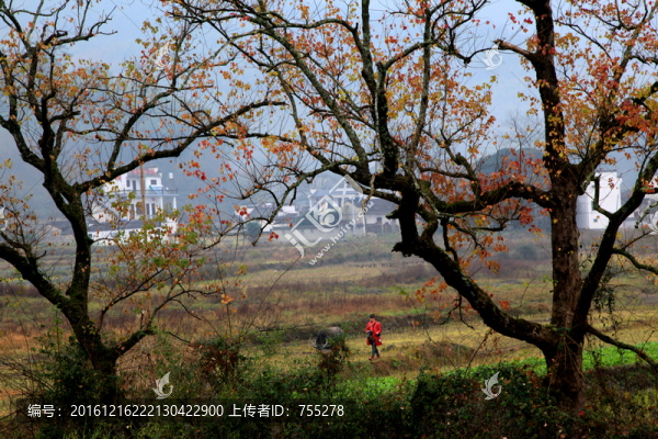 安微黃山宏村