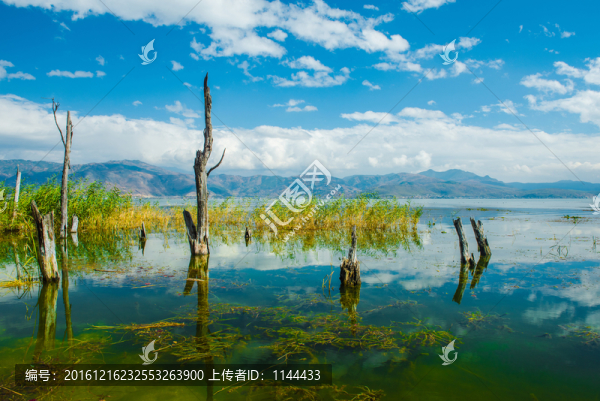 大理,洱海,風(fēng)光