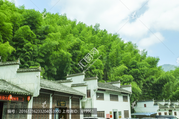木坑竹海,游客中心