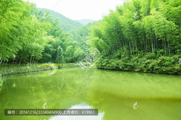 木坑竹海