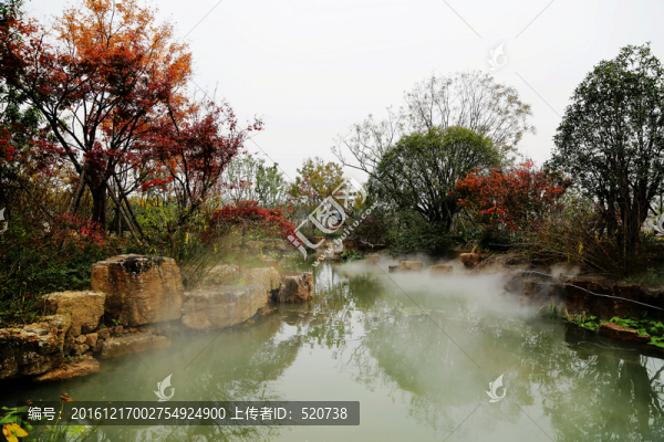 寧波,植物園,彩葉