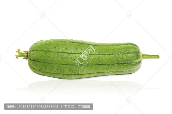 絲瓜