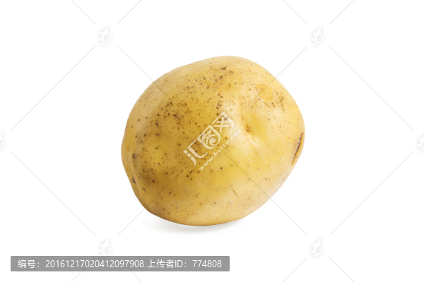 馬鈴薯