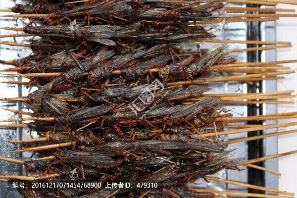百蟲(chóng)宴,燒烤,蝗蟲(chóng),油炸,蟲(chóng)子