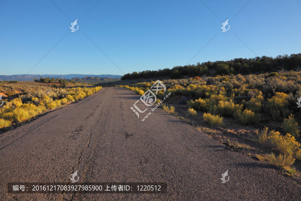美國的道路